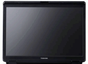 Laptop LCD Casing Picture of the LCD Casing